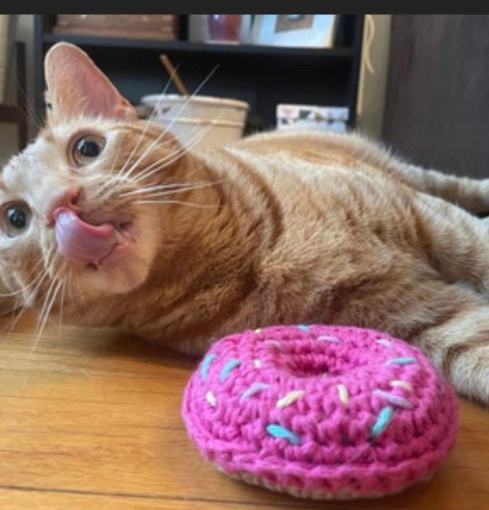 Catnip Crazies Donut, organic catnip crochet cat toy 
